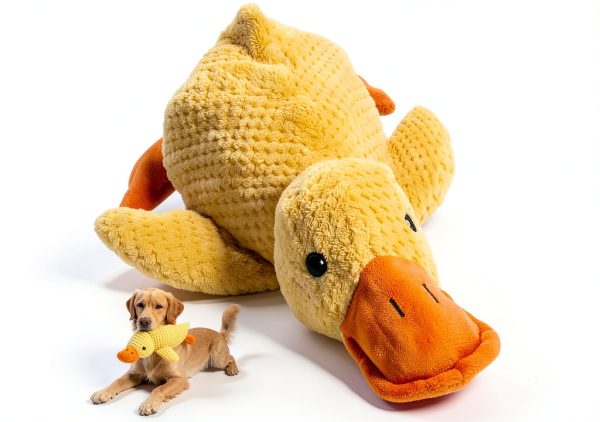 SENLEND Calming Duck Dog Toy Chew Safe Quacking Sound-0