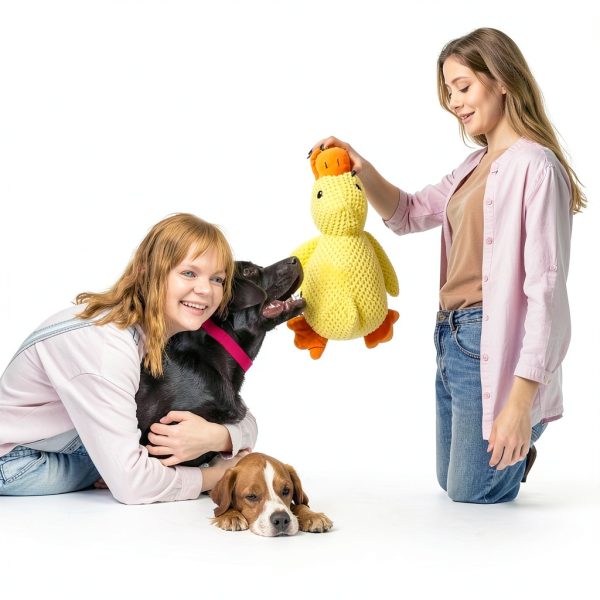 SENLEND Calming Duck Dog Toy Chew Safe Quacking Sound-1