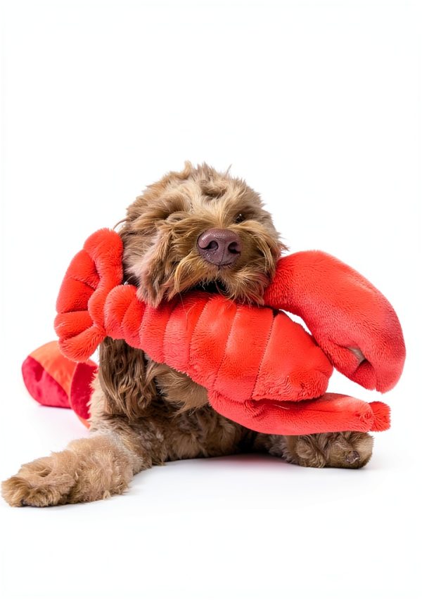 Fluff Tuff Lobster Dog Toy Plush Durable Embroidered Eyes-2