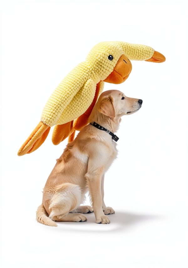 SENLEND Calming Duck Dog Toy Chew Safe Quacking Sound-3