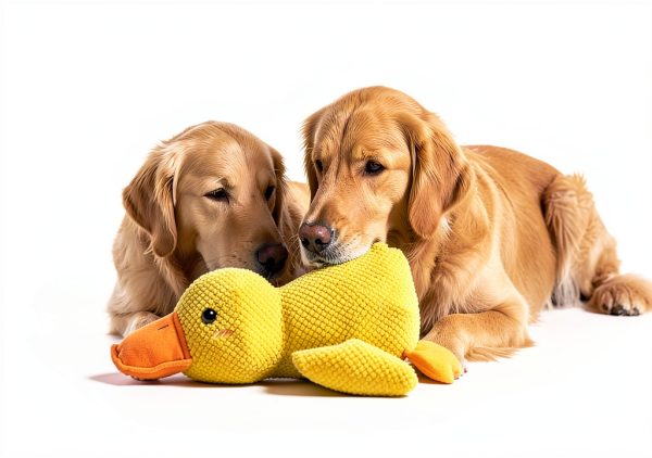 Ningbo Boto Duck Plush Dog Toy Interactive Sound Durable-4