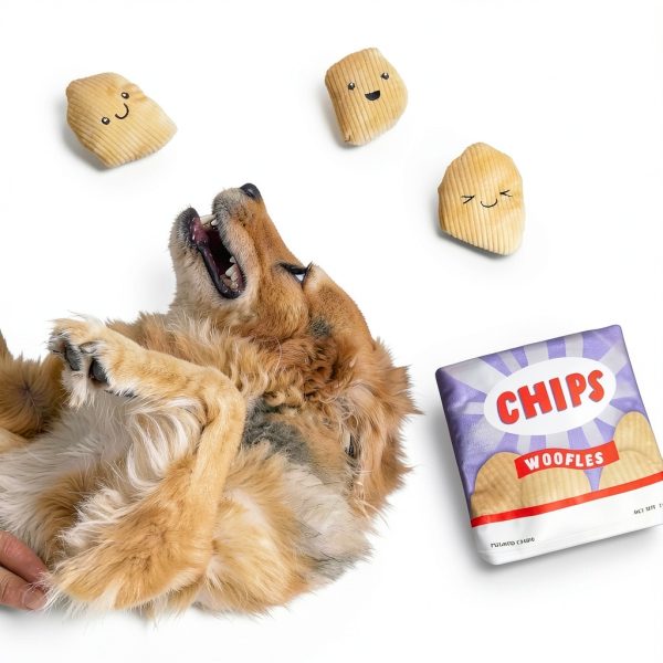 Barkbox Dog Squeak Toy Interactive Plush Crinkle Design-4