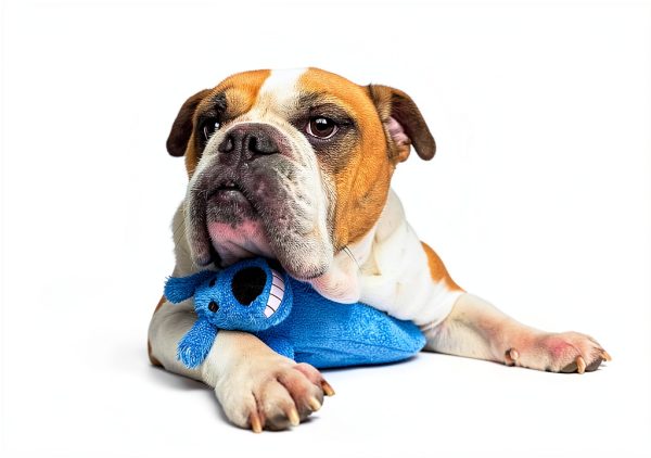 Multipet Loofa Dog Plush Toy for Large Breeds Assorted-1