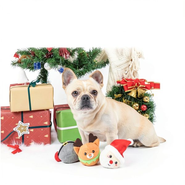 HugSmart Dog Plush Toy Squeaky Ball Dental Chew-6