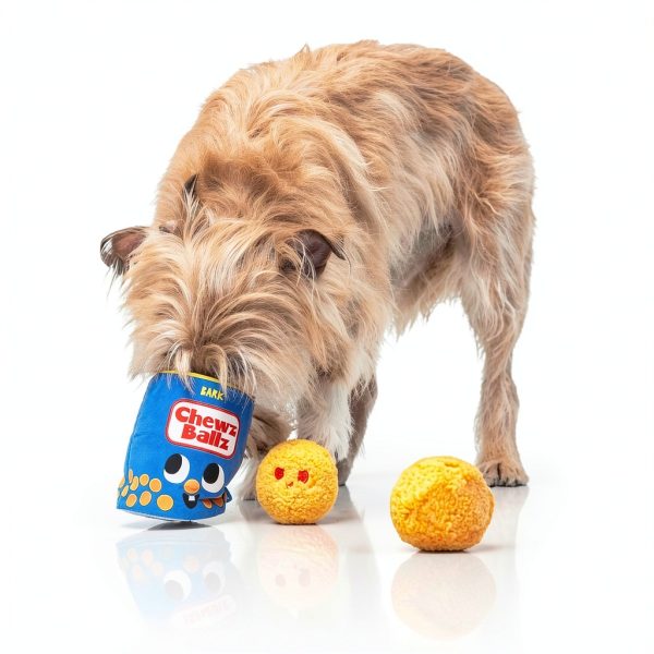 BarkBox Dog Toy Plush Squeaker Crinkle Treat Hiding Fun-4