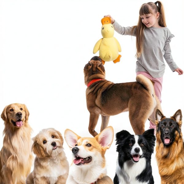 SENLEND Calming Duck Dog Toy Chew Safe Quacking Sound-6