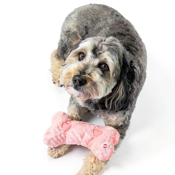Ethical Pets Warm Hug Pal Lavender Plush Dog Toy-5