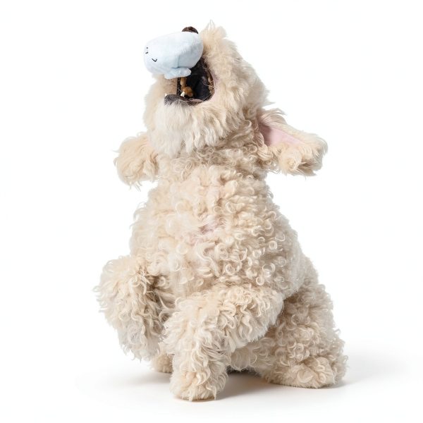 Barkbox Interactive Dog Toy Squeaky Ball Plush for Chewers-4