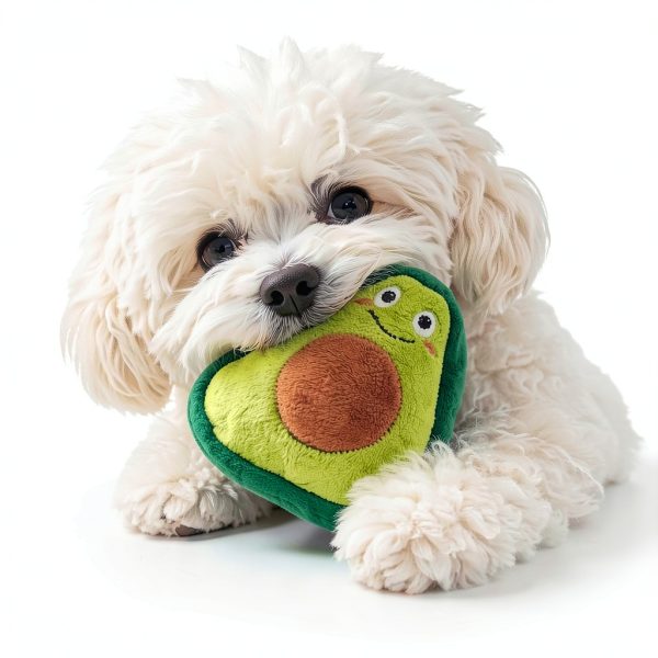 Jalousie Squeaky Plush Dog Toys 18 Pack Dental Cleaning Fun-7