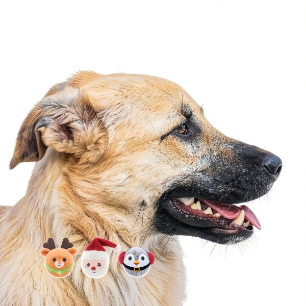 HugSmart Dog Plush Toy Squeaky Ball Dental Chew-4