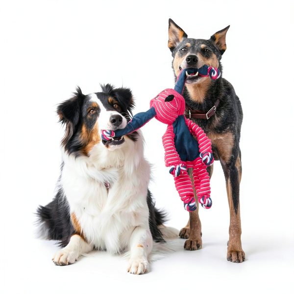 KONG Floppy Knots Dog Toy Durable Squeaker Plush Pet-3