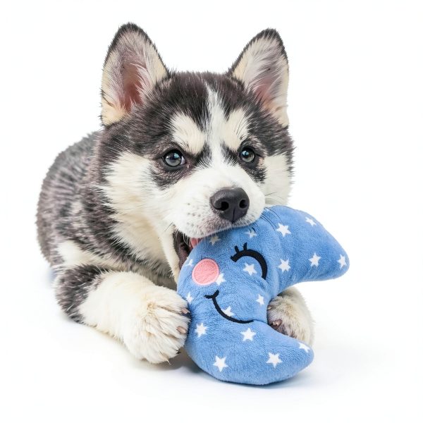 Jalousie Squeaky Plush Dog Toys 18 Pack Dental Cleaning Fun-8