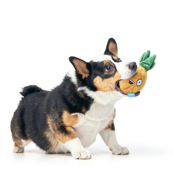 Barkbox Dog Toy Squeaky Plush Interactive Chew Toy-3