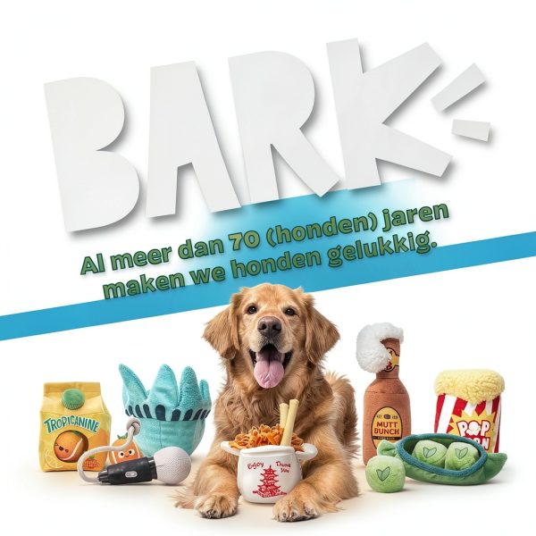 Barkbox Dog Toy Squeaky Plush Interactive Chew Toy-6
