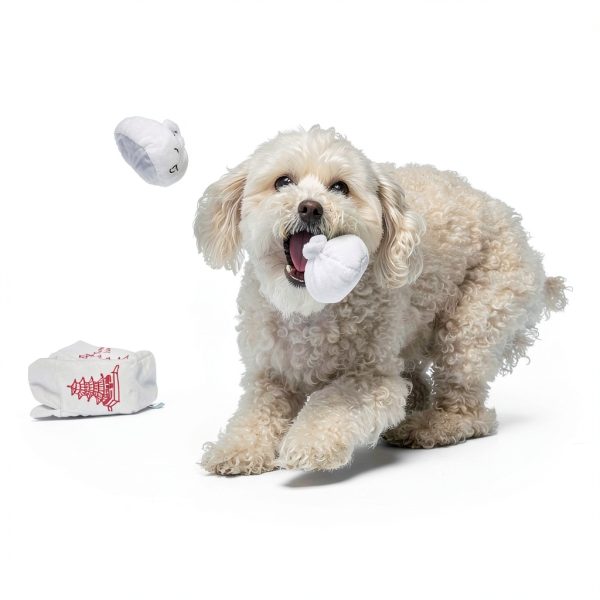 Barkbox Dog Toy Squeaky Plush Interactive Chew Toy-3