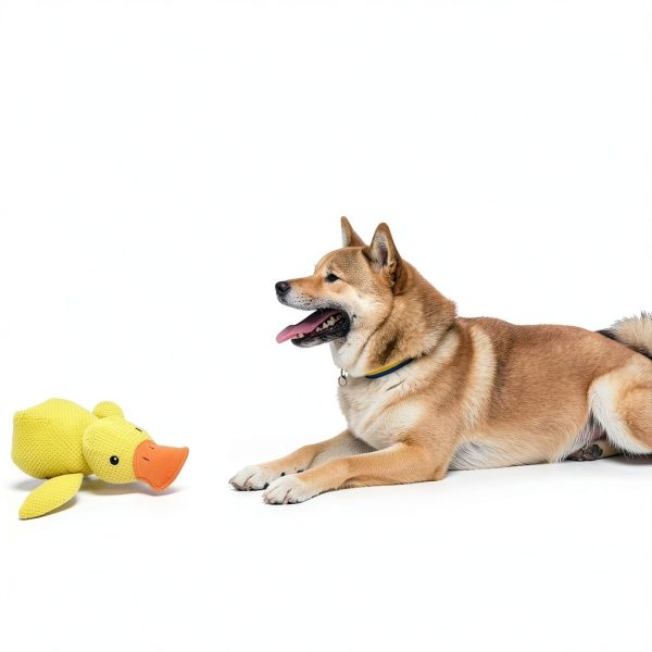 Generic Calming Duck Dog Toy Chew Resistant Plush Pet-4