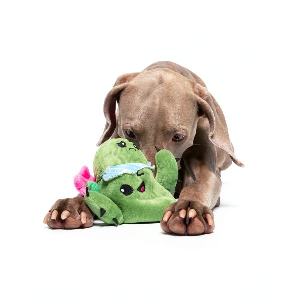Barkbox Plush Dog Toy Squeak Crinkle Cactus Consuela-3