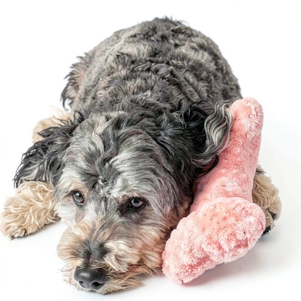 Ethical Pets Warm Hug Pal Lavender Plush Dog Toy-7