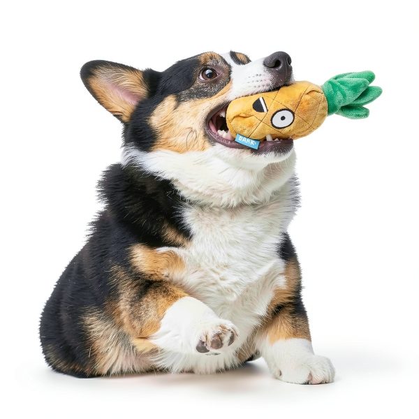 Barkbox Dog Toy Squeaky Plush Interactive Chew Toy-4