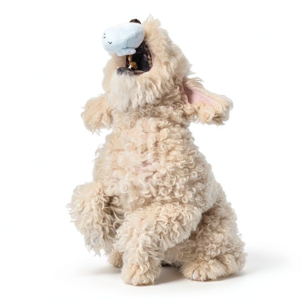 Barkbox Dog Toy Squeaky Plush Interactive Chew Toy-4
