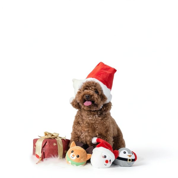 HugSmart Dog Plush Toy Squeaky Ball Dental Chew-2